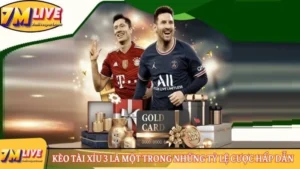 keo tai xiu 3 la mot trong nhung ty le cuoc hap dan 1 1